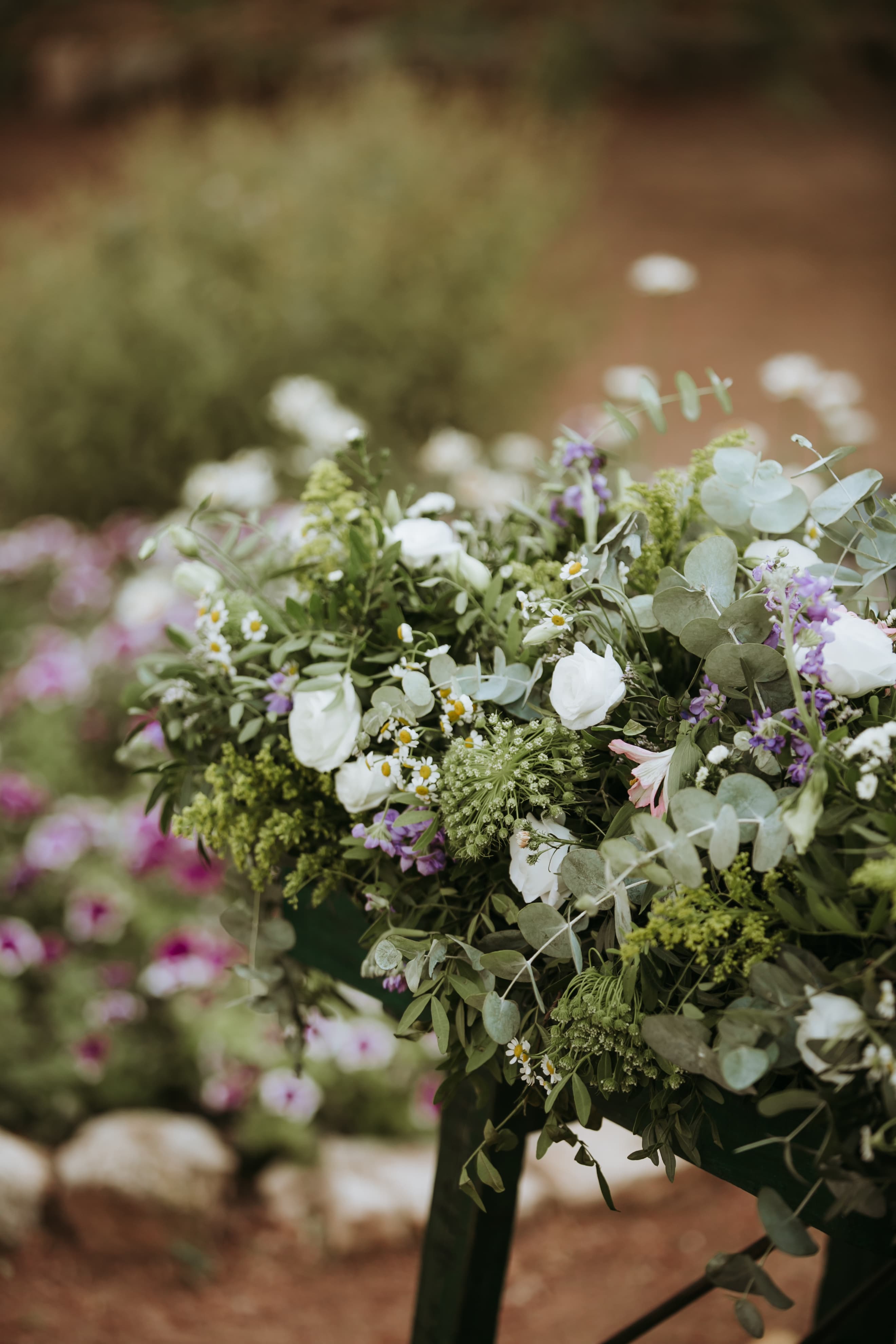 Camomile Bouquet