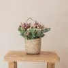 Cesta con asa con flores preservadas Violeta