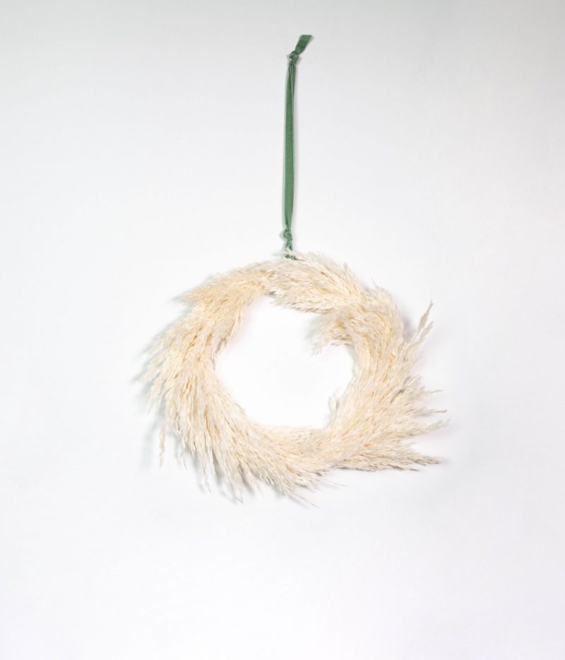 Corona pampas balnca (1)
