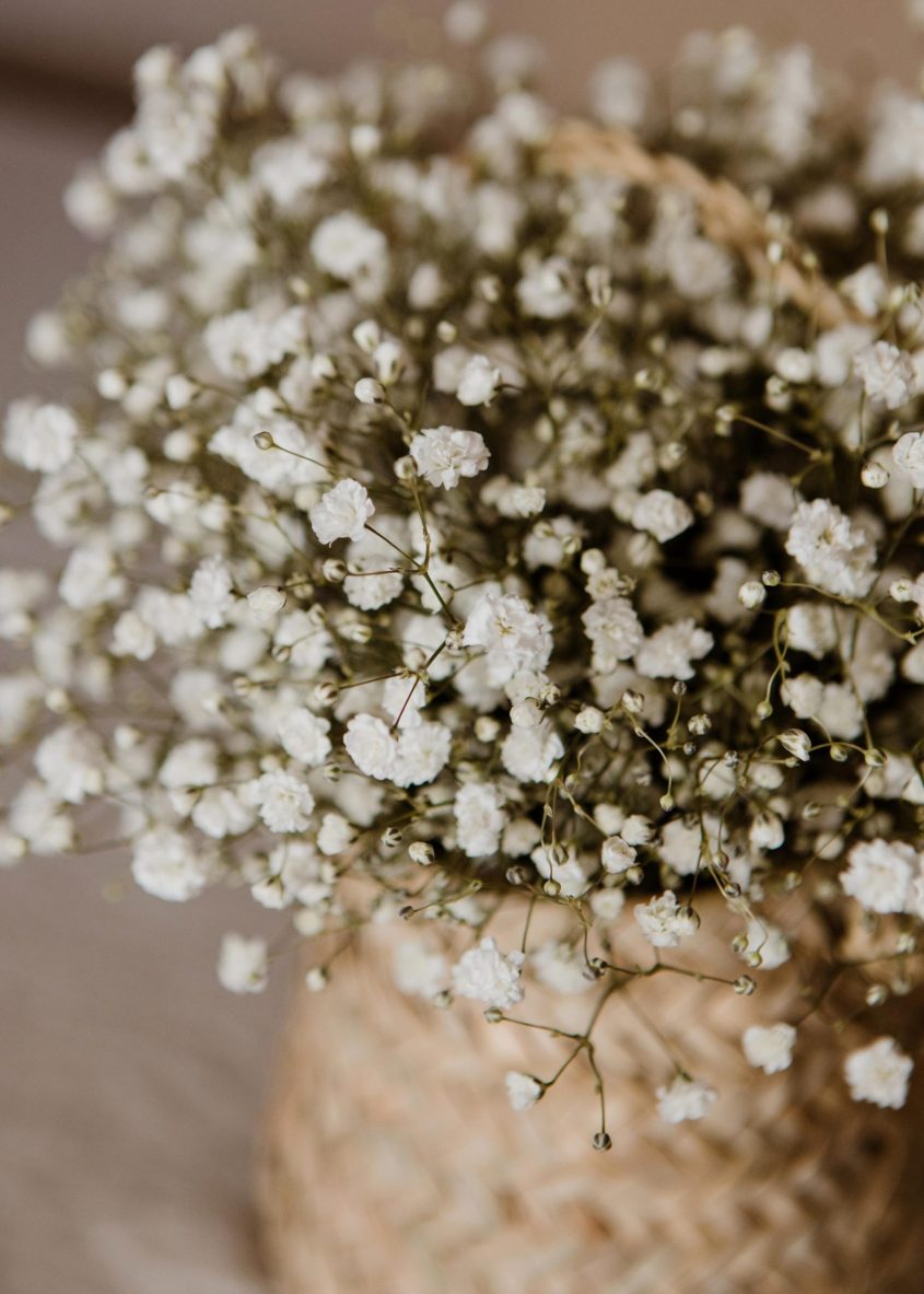 Cesta de mimbre de paniculata fresca - Camomile Bouquet (6)-min