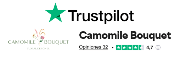 Resenas-Camomile-2-4